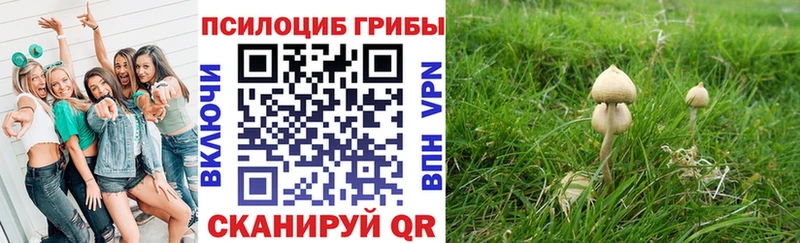 Псилоцибиновые грибы Psilocybe  Воронеж 