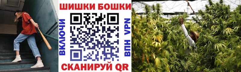 Шишки марихуана марихуана  Воронеж 